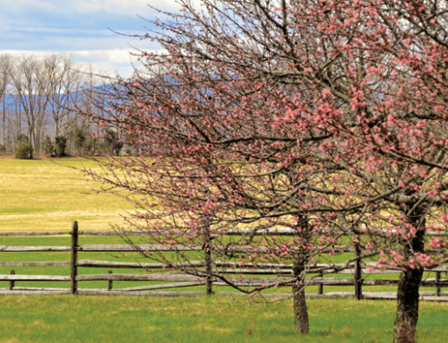 Pennsylvania’s Economic Development Community is Coming to Gettysburg